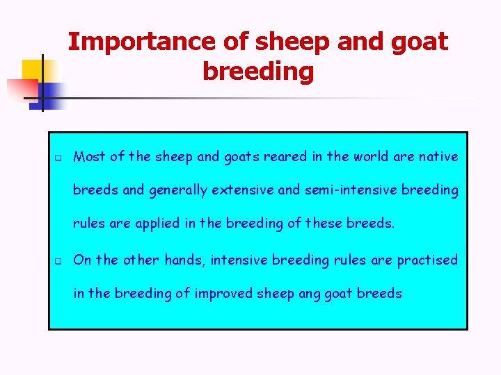 Importance of sheep and goat breeding q Most of the sheep and goats reared