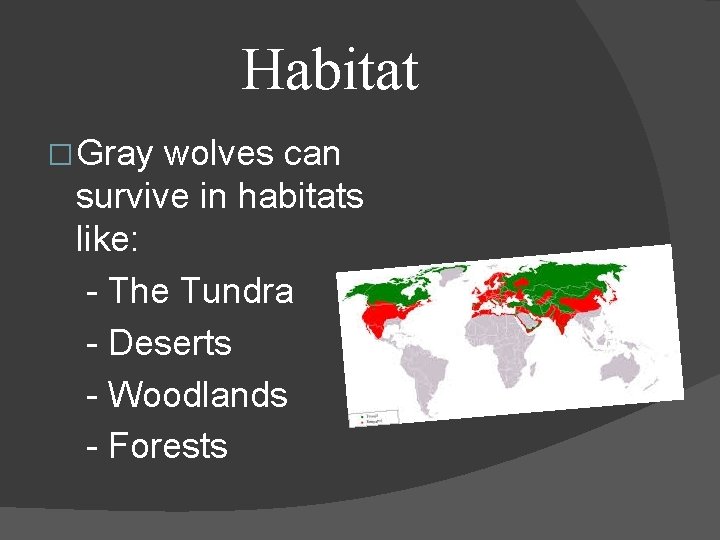 Habitat � Gray wolves can survive in habitats like: - The Tundra - Deserts