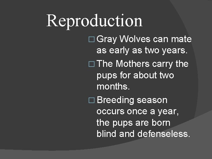Reproduction � Gray Wolves can mate as early as two years. � The Mothers