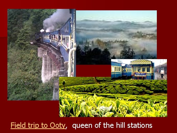 Field trip to Ooty, queen of the hill stations Field trip to Ooty, queen of the hill stations