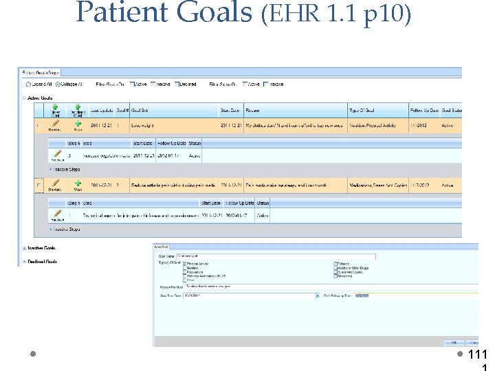 Patient Goals (EHR 1. 1 p 10) 111 