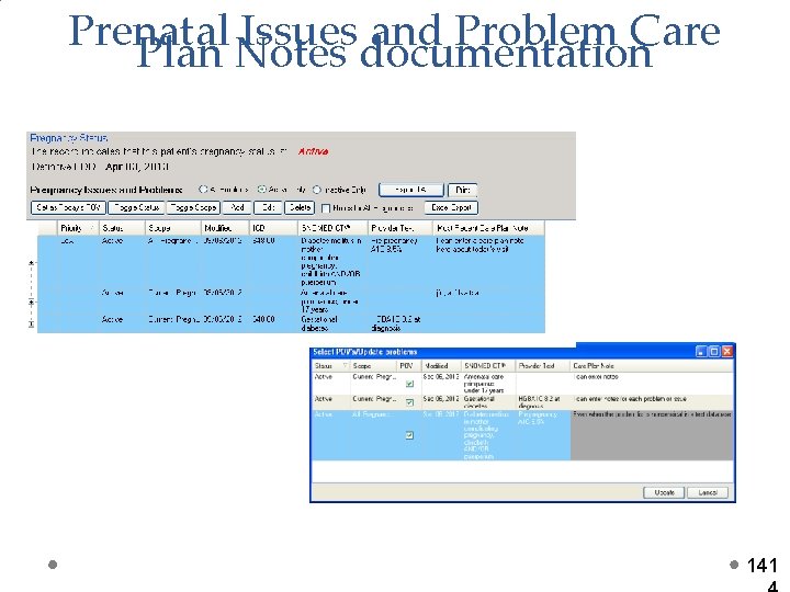 Prenatal Issues and Problem Care Plan Notes documentation 141 