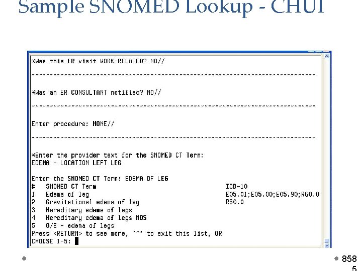 Sample SNOMED Lookup - CHUI 858 