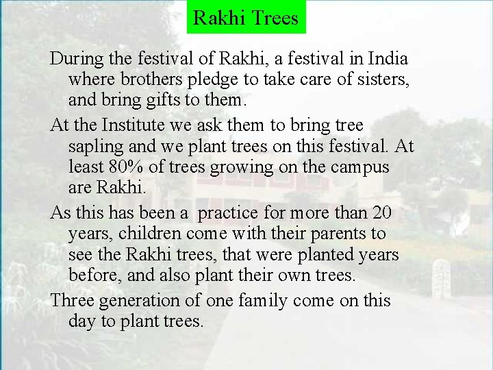 Rakhi Trees During the festival of Rakhi, a festival in India where brothers pledge