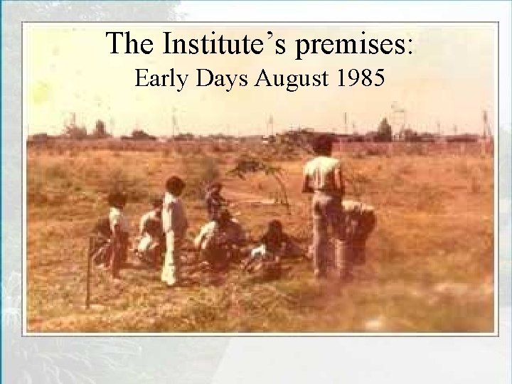 The Institute’s premises: Early Days August 1985 