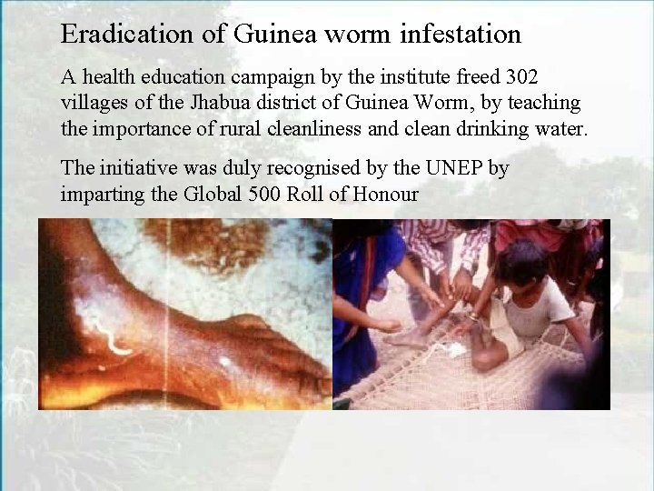 Eradication of Guinea worm infestation A health education campaign by the institute freed 302