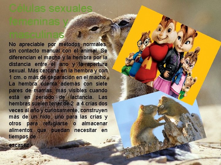 Células sexuales femeninas y masculinas No apreciable por métodos normales, sin contacto manual con