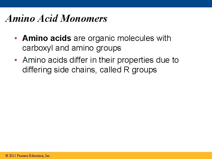 Amino Acid Monomers • Amino acids are organic molecules with carboxyl and amino groups