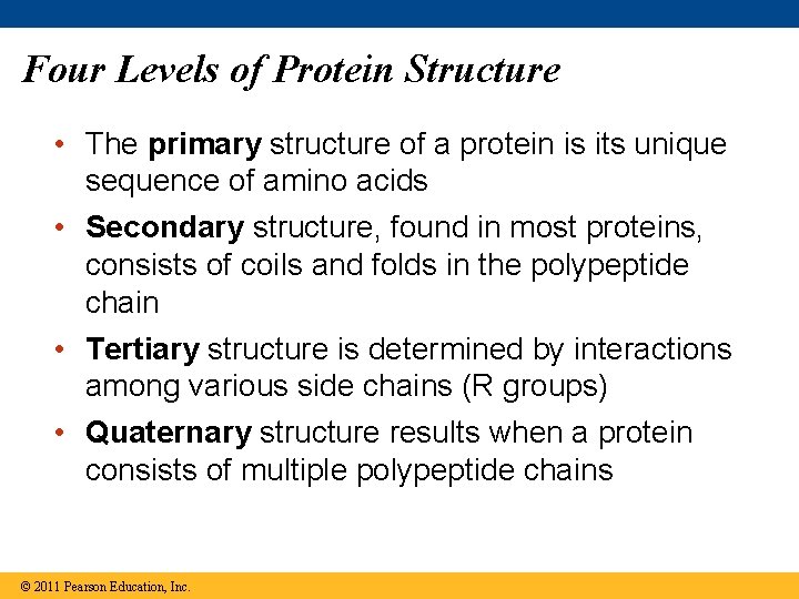 Four Levels of Protein Structure • The primary structure of a protein is its