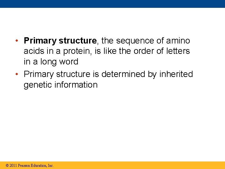  • Primary structure, the sequence of amino acids in a protein, is like