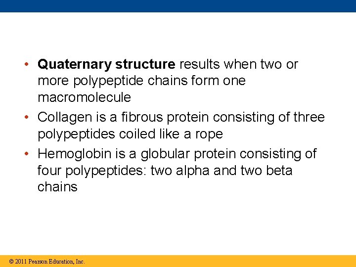  • Quaternary structure results when two or more polypeptide chains form one macromolecule