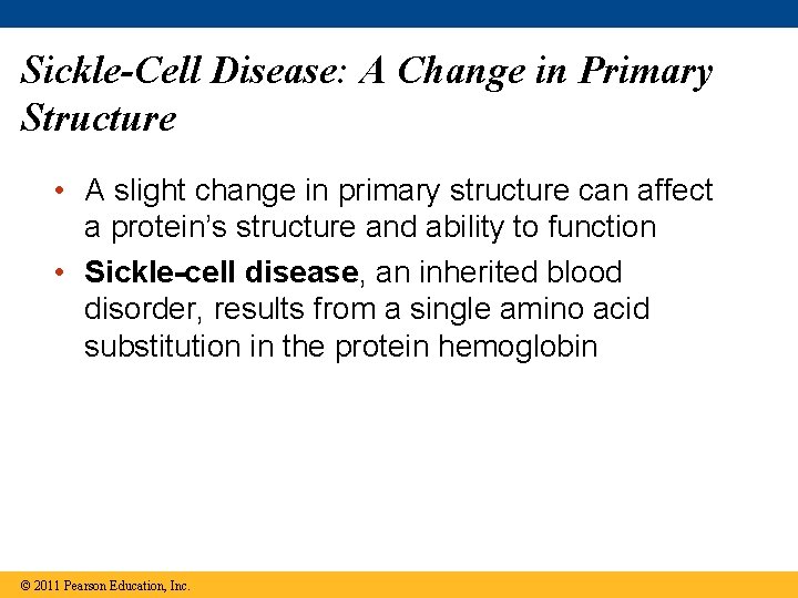Sickle-Cell Disease: A Change in Primary Structure • A slight change in primary structure