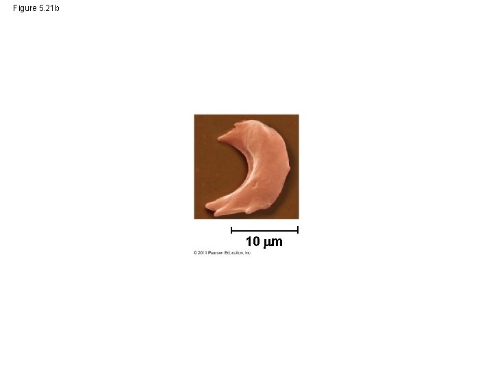 Figure 5. 21 b 10 m 