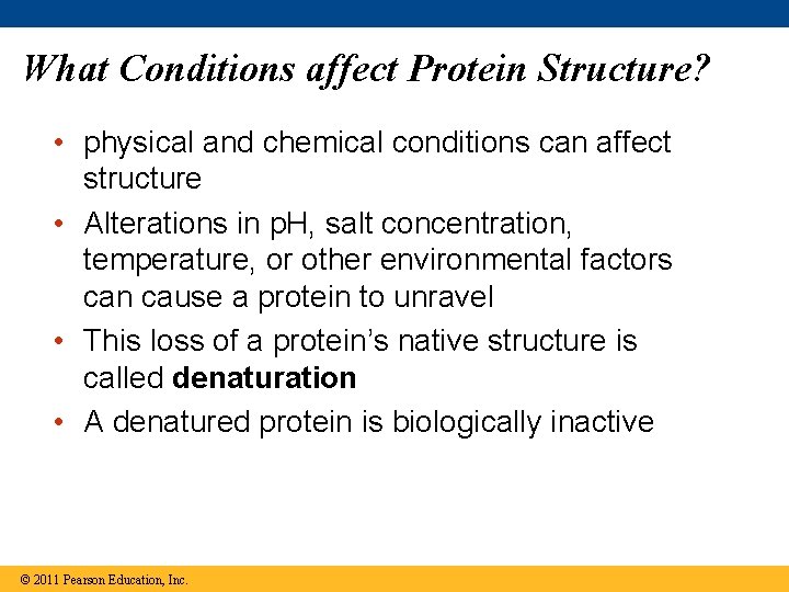 What Conditions affect Protein Structure? • physical and chemical conditions can affect structure •