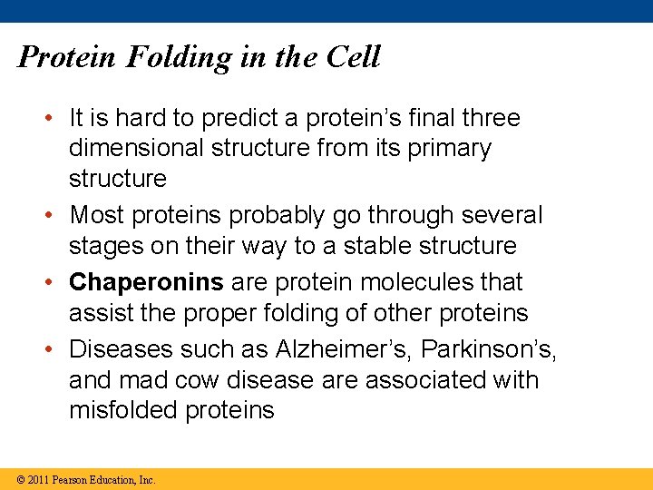 Protein Folding in the Cell • It is hard to predict a protein’s final