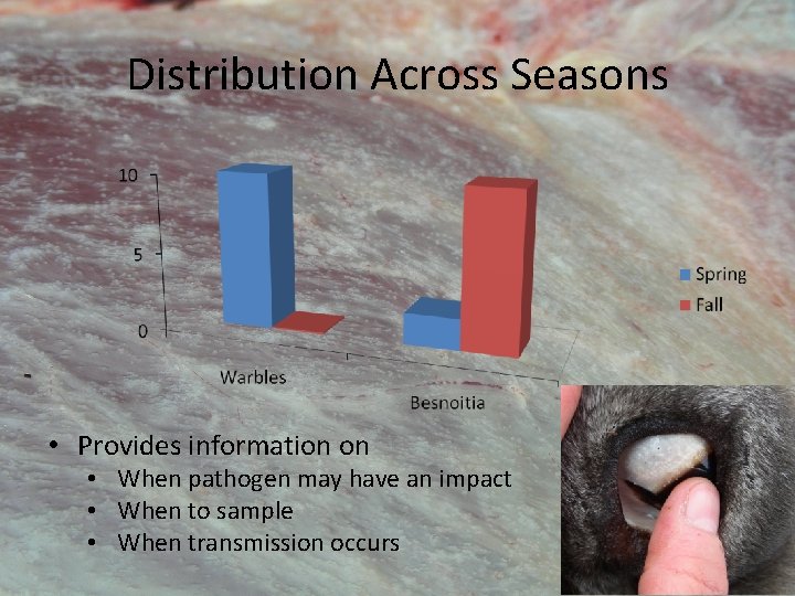 Distribution Across Seasons • Provides information on • When pathogen may have an impact