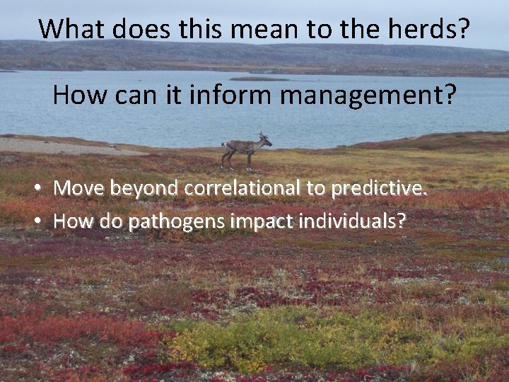 What does this mean to the herds? How can it inform management? • Move