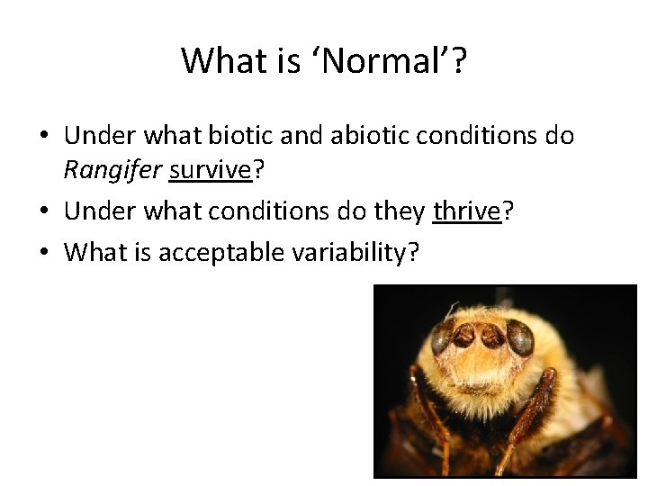 What is ‘Normal’? • Under what biotic and abiotic conditions do Rangifer survive? •