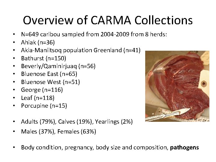 Overview of CARMA Collections • • • N=649 caribou sampled from 2004 -2009 from