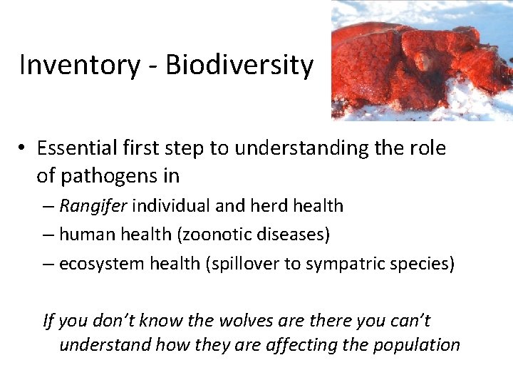 Inventory - Biodiversity • Essential first step to understanding the role of pathogens in