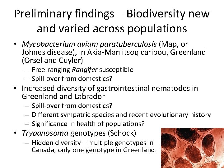 Preliminary findings – Biodiversity new and varied across populations • Mycobacterium avium paratuberculosis (Map,