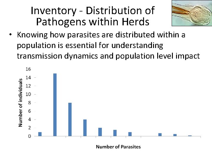 Inventory - Distribution of Pathogens within Herds • Knowing how parasites are distributed within
