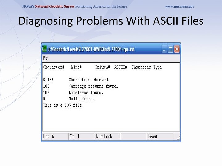 Diagnosing Problems With ASCII Files 