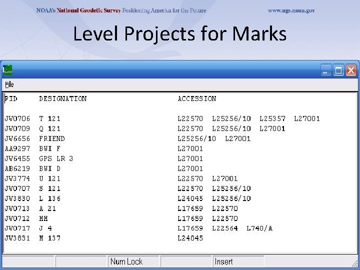 Level Projects for Marks 