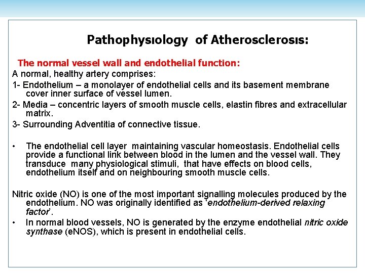 Pathophysıology of Atherosclerosıs: The normal vessel wall and endothelial function: A normal, healthy artery