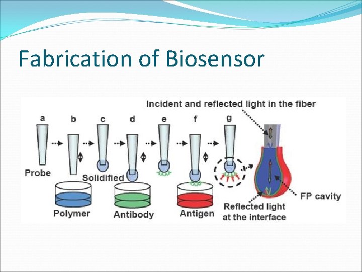 Fabrication of Biosensor 