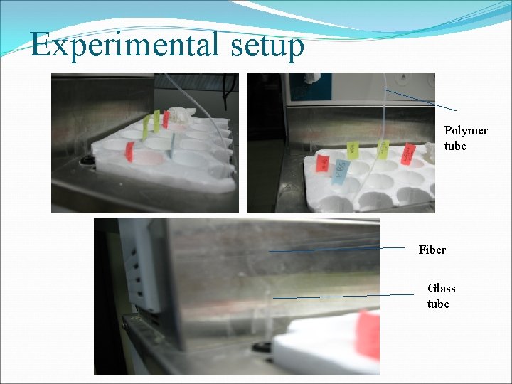Experimental setup Polymer tube Fiber Glass tube 