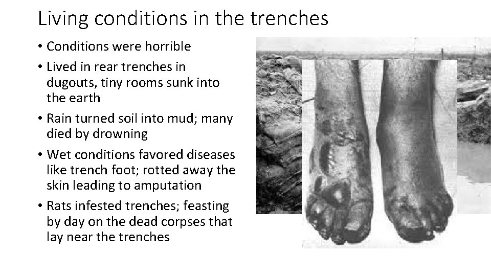 Living conditions in the trenches • Conditions were horrible • Lived in rear trenches