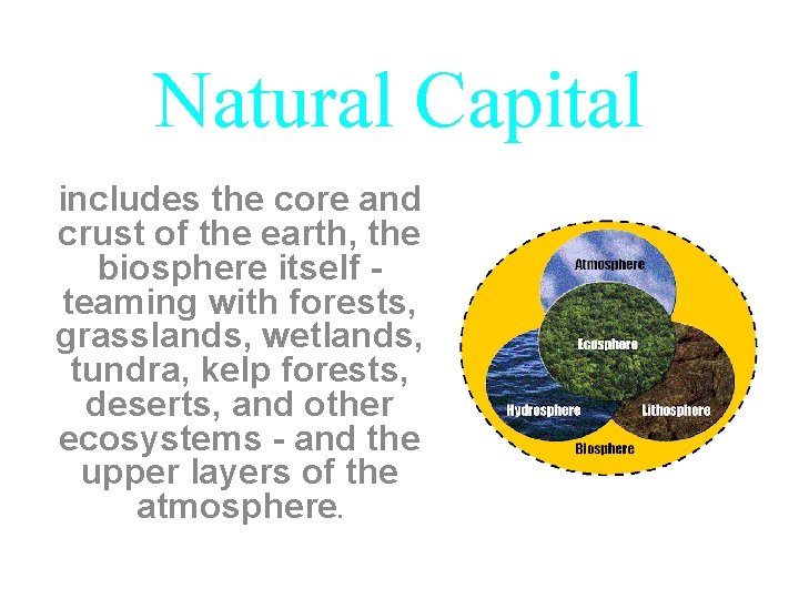 Natural Capital includes the core and crust of the earth, the biosphere itself teaming