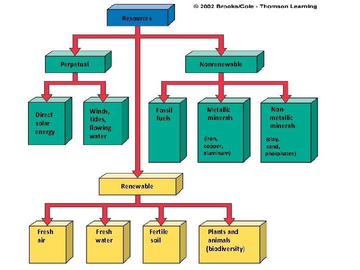 Resources Perpetual Direct solar energy Nonrenewable Fossil fuels Winds, tides, flowing water Metallic minerals