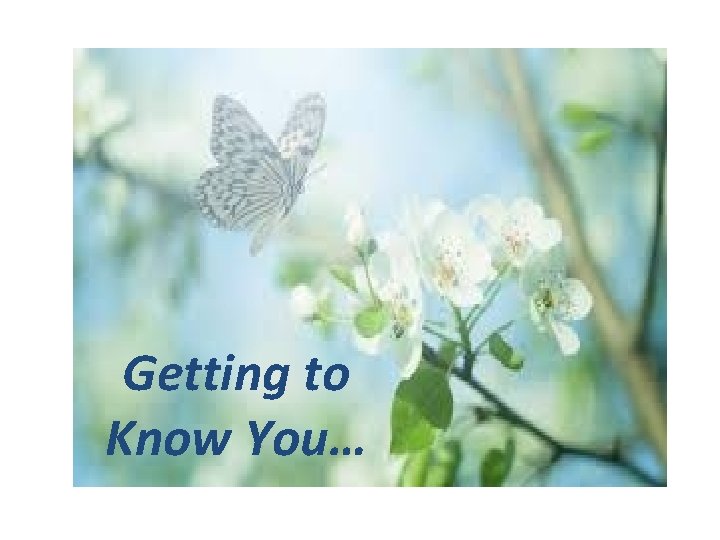 Getting to Know You… 