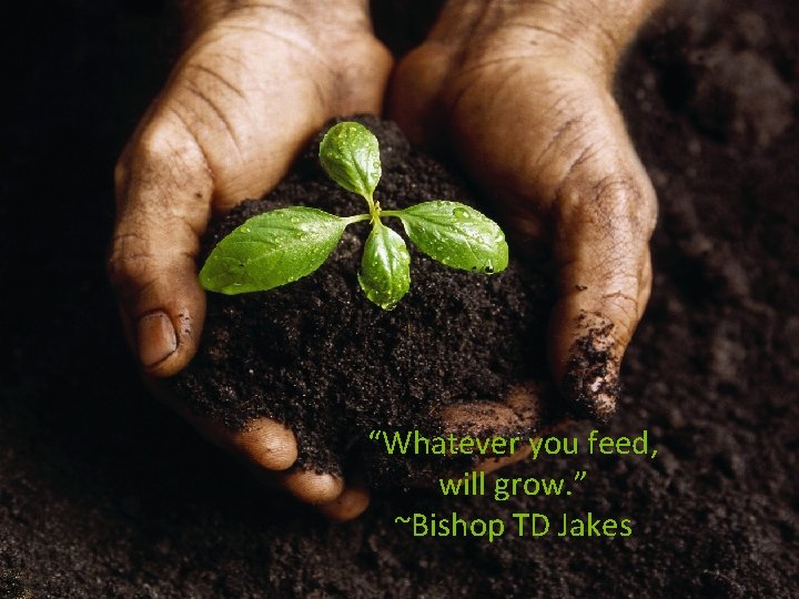 “Whatever you feed, will grow. ” ~Bishop TD Jakes 