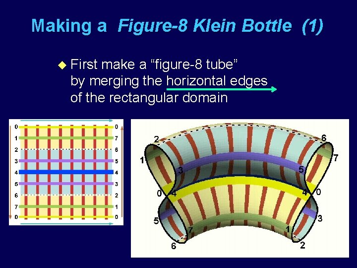 Making a Figure-8 Klein Bottle (1) u First make a “figure-8 tube” by merging