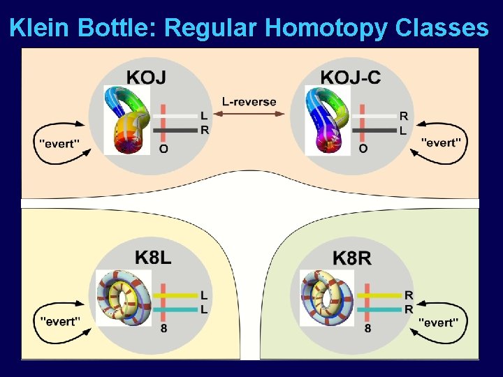 Klein Bottle: Regular Homotopy Classes 