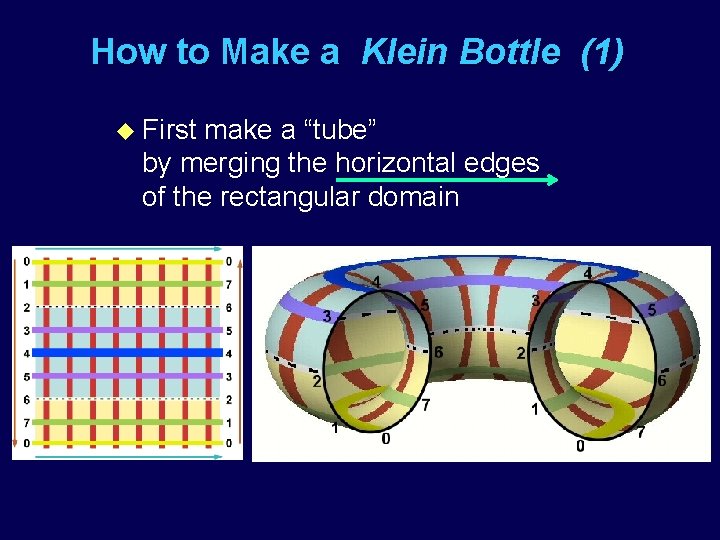 How to Make a Klein Bottle (1) u First make a “tube” by merging