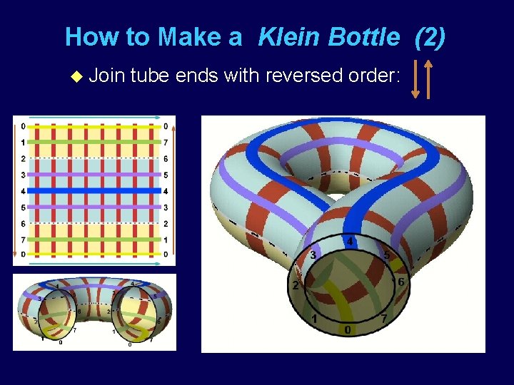 How to Make a Klein Bottle (2) u Join tube ends with reversed order: