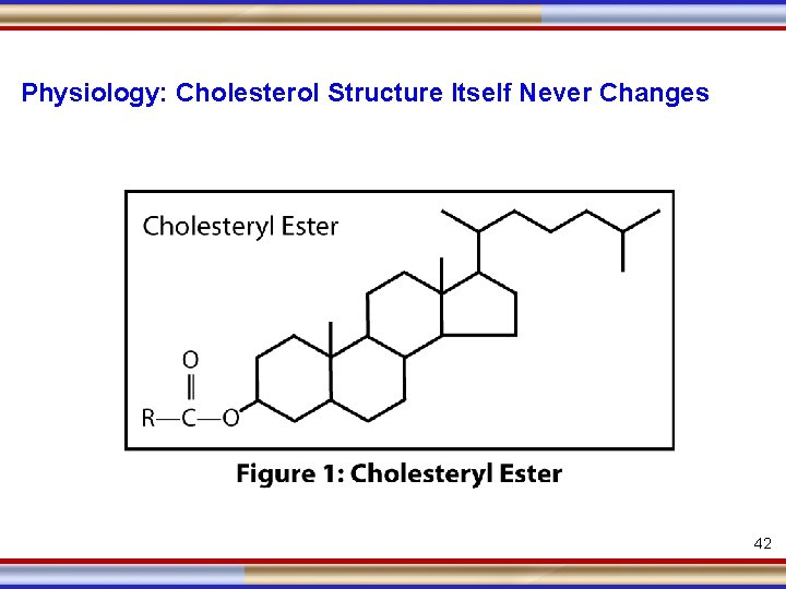 Physiology: Cholesterol Structure Itself Never Changes 42 4 