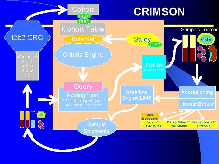 Cohort IRB# CRIMSON Cohort Table i 2 b 2 CRC Workbench Rule Set Samples