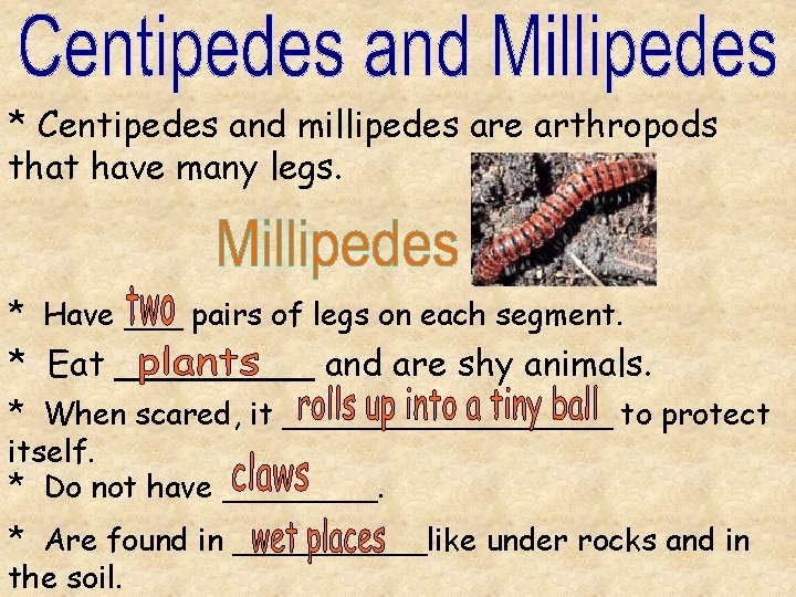 * Centipedes and millipedes are arthropods that have many legs. * Have ___ pairs