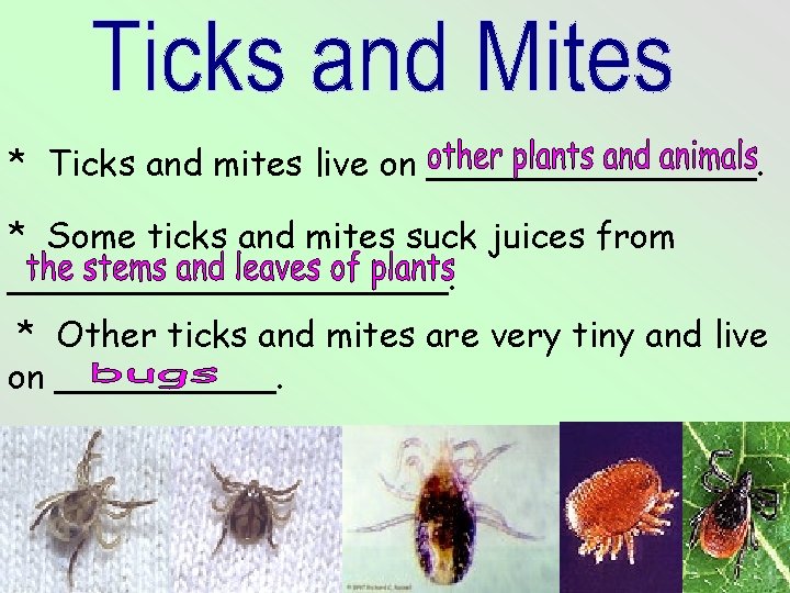 * Ticks and mites live on ________. * Some ticks and mites suck juices