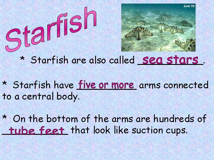 * Starfish are also called ______. * Starfish have _____ arms connected to a * Starfish are also called ______. * Starfish have _____ arms connected to a