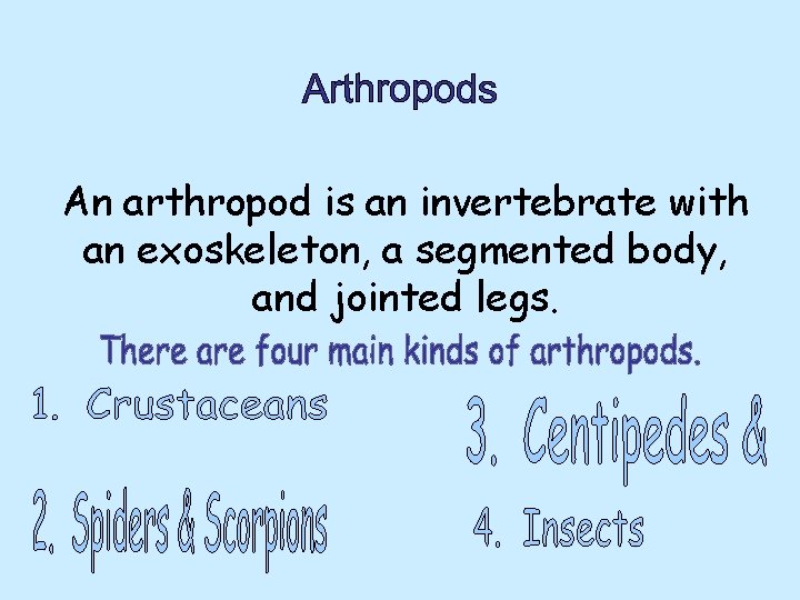 An arthropod is an invertebrate with an exoskeleton, a segmented body, and jointed legs. An arthropod is an invertebrate with an exoskeleton, a segmented body, and jointed legs.