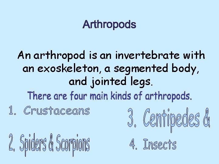 An arthropod is an invertebrate with an exoskeleton, a segmented body, and jointed legs.