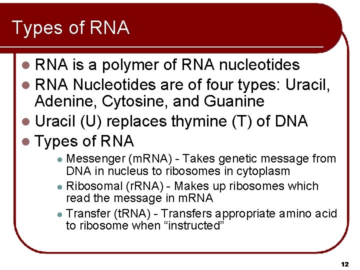 Types of RNA l RNA is a polymer of RNA nucleotides l RNA Nucleotides