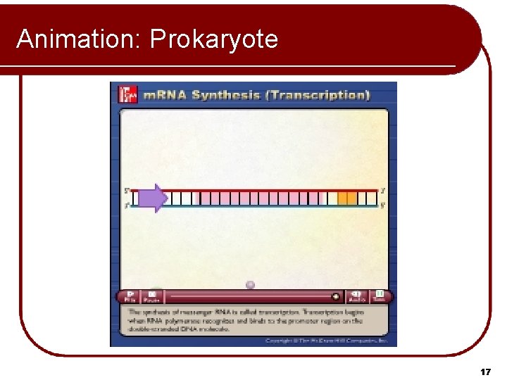 Animation: Prokaryote Please note that due to differing operating systems, some animations will not