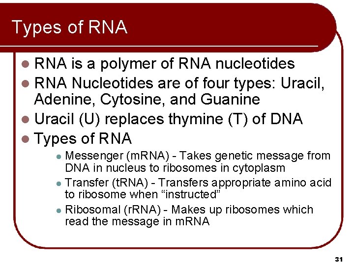 Types of RNA l RNA is a polymer of RNA nucleotides l RNA Nucleotides